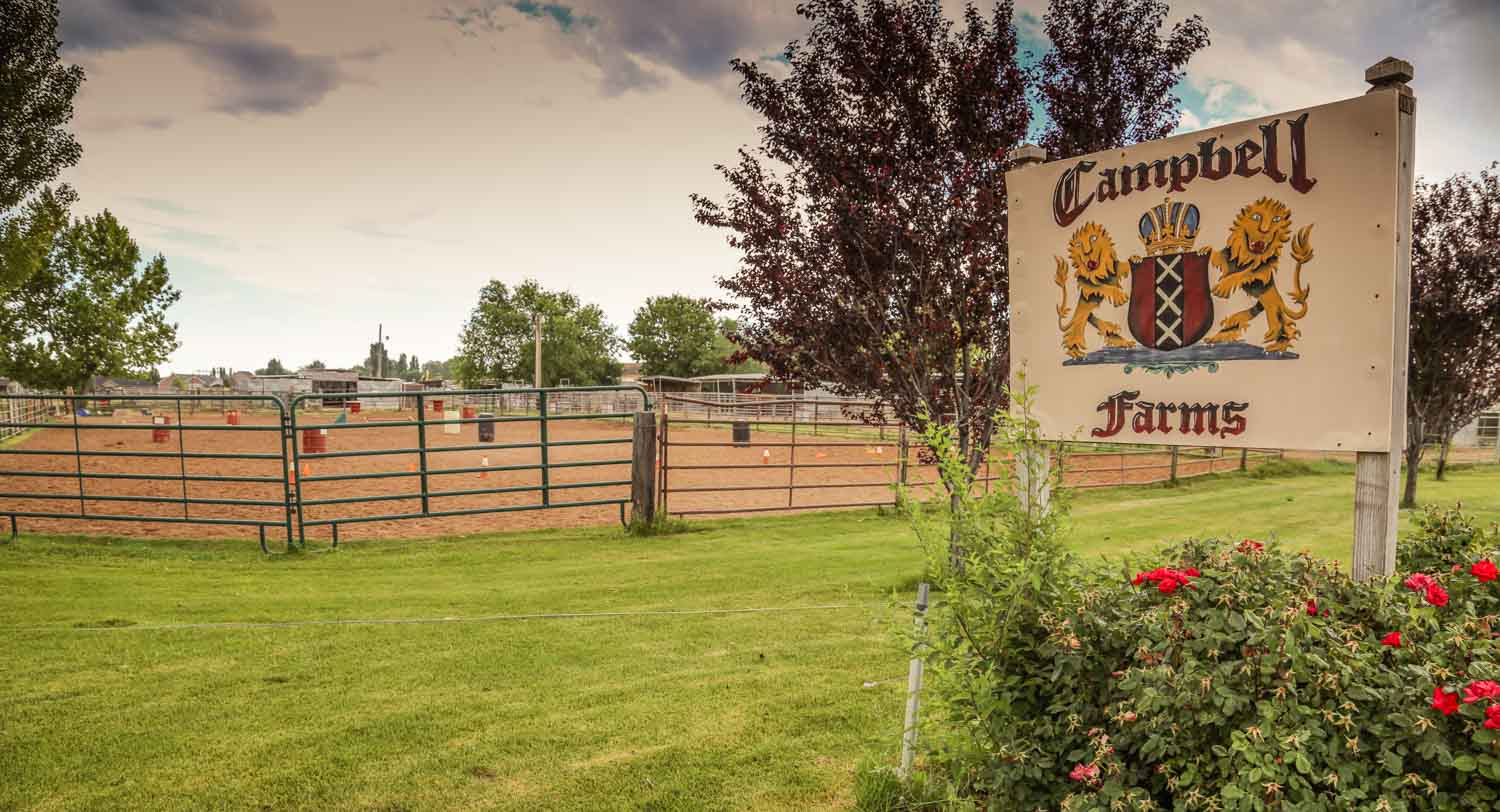 CFedited0716201620 The Campbell Farm