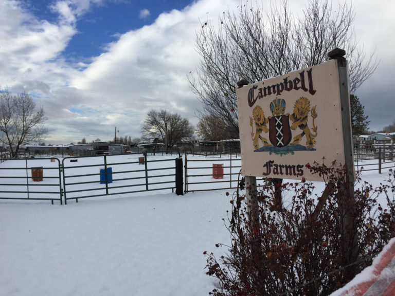 Gallery The Campbell Farm